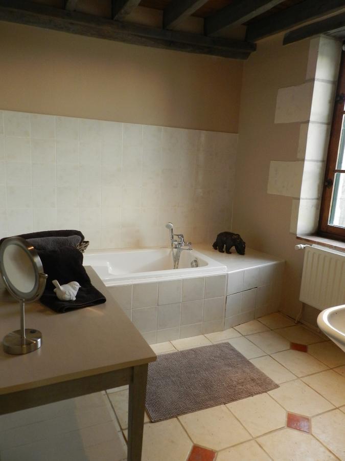 Saché Moulin De La Chevriere Bed & Breakfast エクステリア 写真