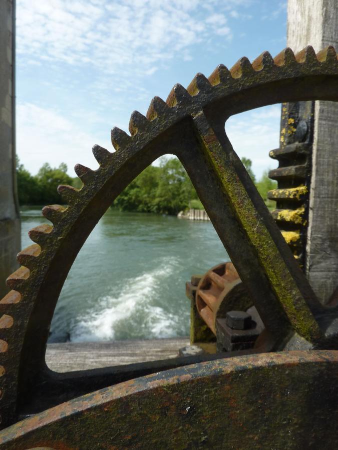 Saché Moulin De La Chevriere Bed & Breakfast エクステリア 写真