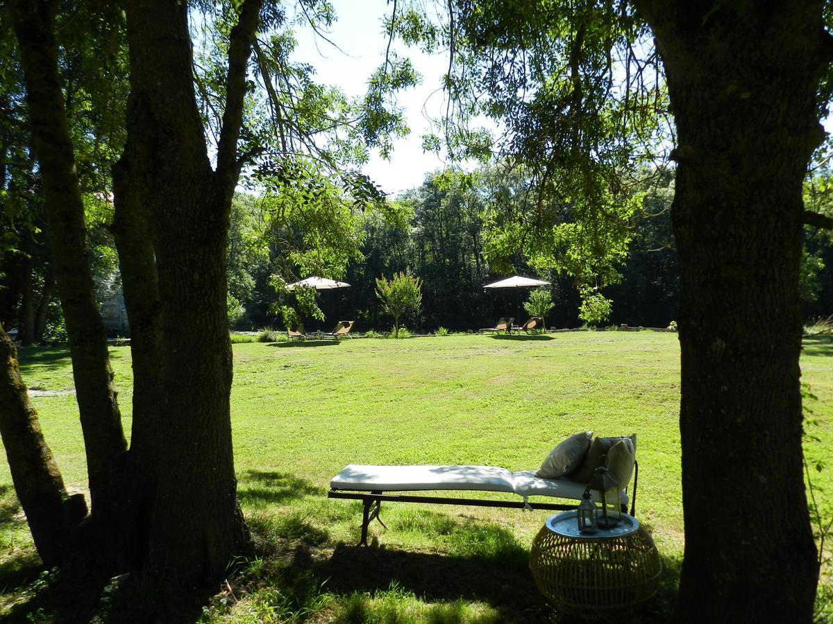 Saché Moulin De La Chevriere Bed & Breakfast エクステリア 写真